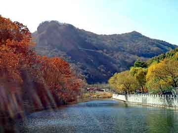 奥门天天开奖免费资料，湛江seo程序